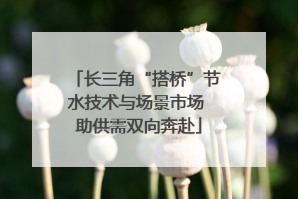 长三角“搭桥”节水技术与场景市场 助供需双向奔赴