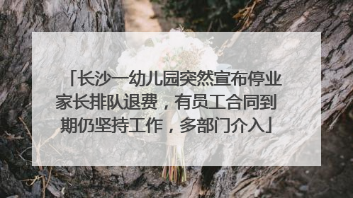 长沙一幼儿园突然宣布停业家长排队退费，有员工合同到期仍坚持工作，多部门介入