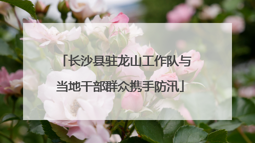 长沙县驻龙山工作队与当地干部群众携手防汛