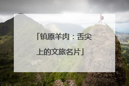 镇原羊肉：舌尖上的文旅名片