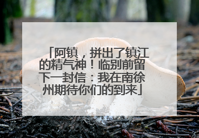 阿镇，拼出了镇江的精气神！临别前留下一封信：我在南徐州期待你们的到来