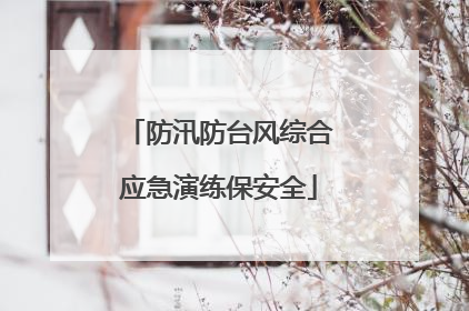 防汛防台风综合应急演练保安全