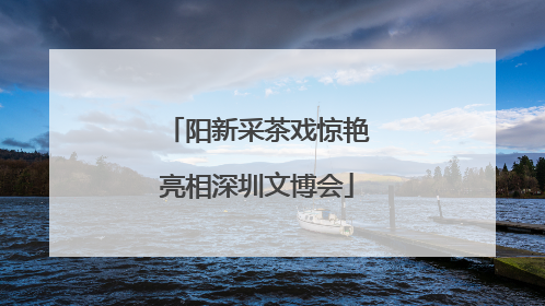 阳新采茶戏惊艳亮相深圳文博会