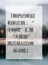 陕西合阳县和家庄镇：“小网格”汇聚“大能量” 激活基层治理新动能