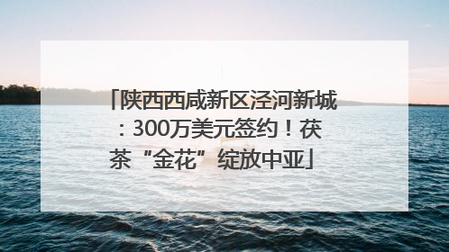 陕西西咸新区泾河新城：300万美元签约！茯茶“金花”绽放中亚