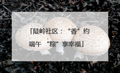 陡岭社区：“香”约端午 “粽”享幸福