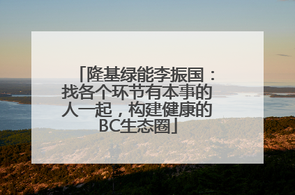 隆基绿能李振国：找各个环节有本事的人一起，构建健康的BC生态圈