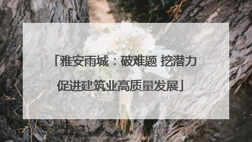 雅安雨城：破难题 挖潜力 促进建筑业高质量发展