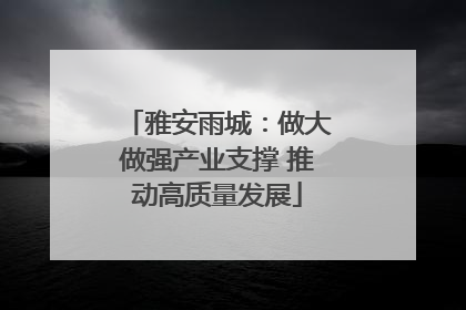 雅安雨城：做大做强产业支撑 推动高质量发展