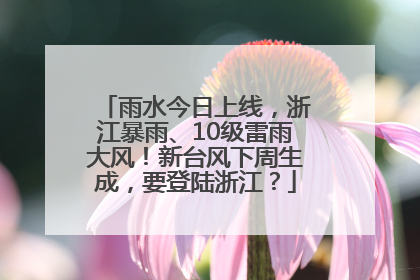 雨水今日上线，浙江暴雨、10级雷雨大风！新台风下周生成，要登陆浙江？