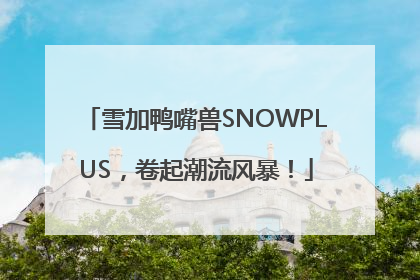 雪加鸭嘴兽SNOWPLUS，卷起潮流风暴！