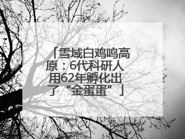雪域白鸡鸣高原：6代科研人用62年孵化出了“金蛋蛋”