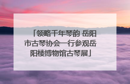领略千年琴韵 岳阳市古琴协会一行参观岳阳楼博物馆古琴展