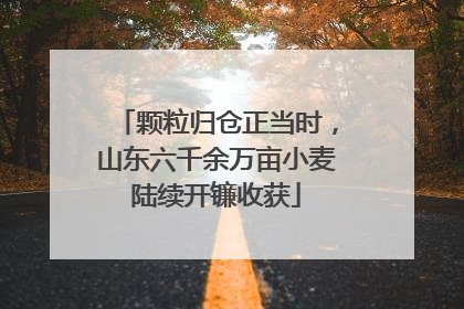 颗粒归仓正当时，山东六千余万亩小麦陆续开镰收获