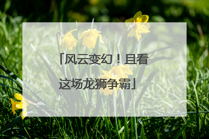 风云变幻！且看这场龙狮争霸