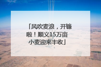 风吹麦浪，开镰啦！顺义15万亩小麦迎来丰收