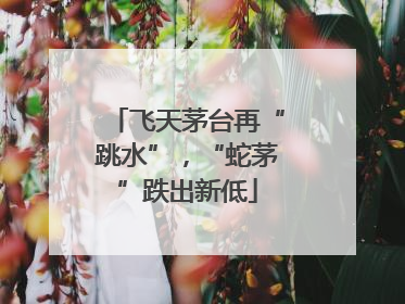 飞天茅台再“跳水”，“蛇茅”跌出新低