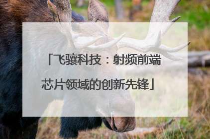 飞骧科技：射频前端芯片领域的创新先锋