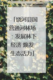 饶河县国营通河林场：发展林下经济 焕发生态活力
