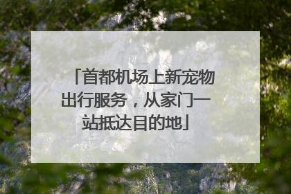 首都机场上新宠物出行服务，从家门一站抵达目的地
