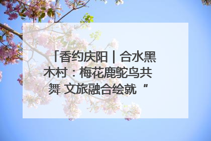 香约庆阳｜合水黑木村：梅花鹿鸵鸟共舞 文旅融合绘就“诗与远方”