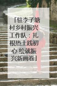 驻李子塘村乡村振兴工作队：扎根热土践初心 绘就振兴新画卷