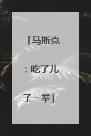 马斯克：吃了儿子一拳