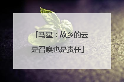 马星：故乡的云是召唤也是责任