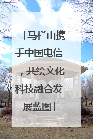 马栏山携手中国电信，共绘文化科技融合发展蓝图