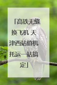 高铁无缝换飞机 天津西站值机托运一站搞定