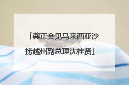 龚正会见马来西亚沙捞越州副总理沈桂贤