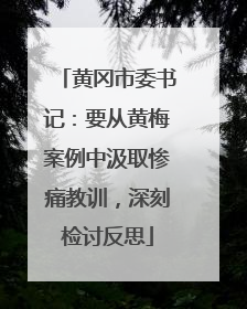 黄冈市委书记：要从黄梅案例中汲取惨痛教训，深刻检讨反思
