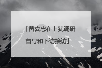 黄喜忠在上犹调研督导和下访接访