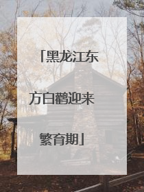 黑龙江东方白鹳迎来繁育期