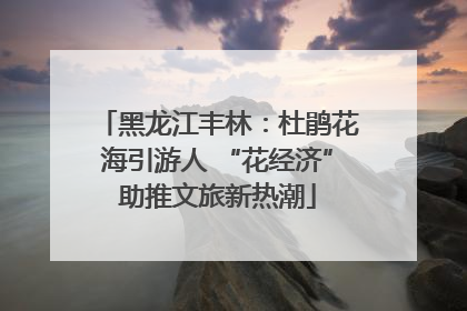 黑龙江丰林：杜鹃花海引游人 “花经济”助推文旅新热潮