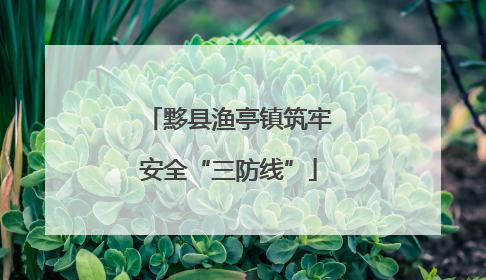 黟县渔亭镇筑牢安全“三防线”