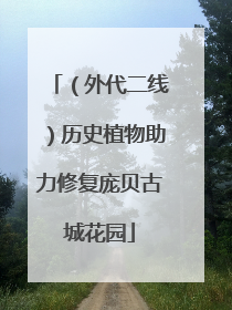 （外代二线）历史植物助力修复庞贝古城花园