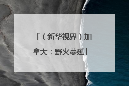 （新华视界）加拿大：野火蔓延