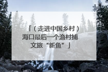 （走进中国乡村）海口最后一个渔村捕文旅“新鱼”