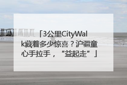3公里CityWalk藏着多少惊喜？沪疆童心手拉手，“益起走”
