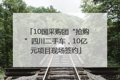 10国采购团“抢购”四川二手车，10亿元项目现场签约