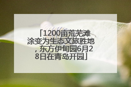 1200亩荒芜滩涂变为生态文旅胜地，东方伊甸园6月28日在青岛开园
