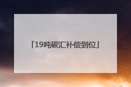 19吨碳汇补偿到位