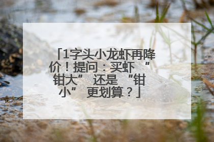 1字头小龙虾再降价！提问：买虾 “钳大” 还是 “钳小” 更划算？