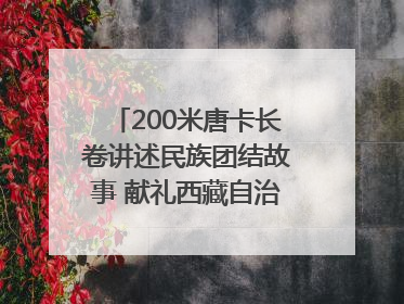 200米唐卡长卷讲述民族团结故事 献礼西藏自治区成立60周年