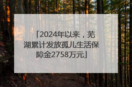 2024年以来，芜湖累计发放孤儿生活保障金2758万元