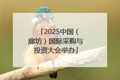 2025中国（廊坊）国际采购与投资大会举办
