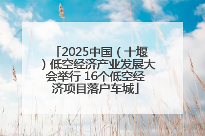 2025中国（十堰）低空经济产业发展大会举行 16个低空经济项目落户车城