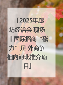 2025年廊坊经洽会·现场丨国际招商“磁力”足 外商争相向河北推介项目