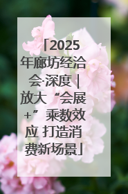 2025年廊坊经洽会·深度｜放大“会展+”乘数效应 打造消费新场景